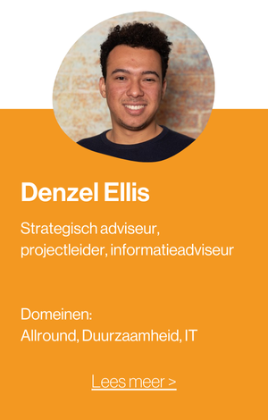 Publiek Maatwerk - Consultant Denzel Ellis