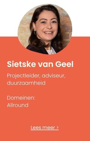 consultant sietske