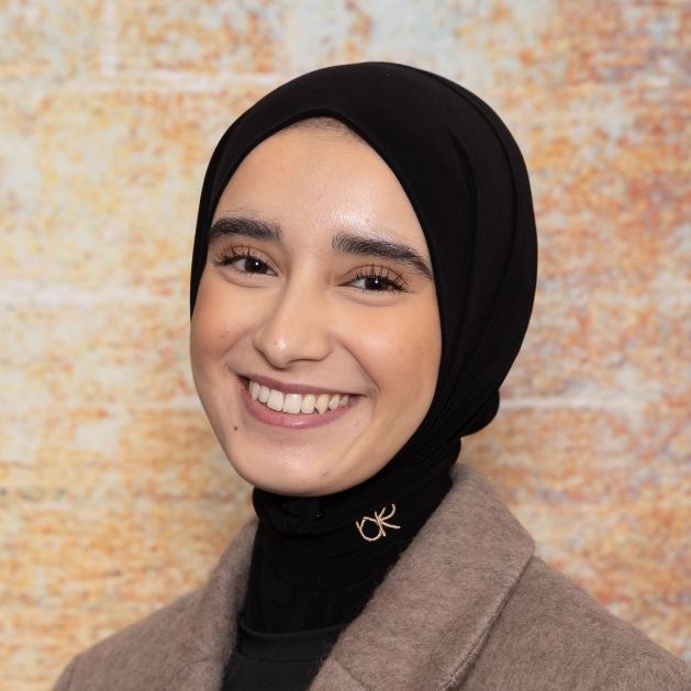 Insam stageambassadeur